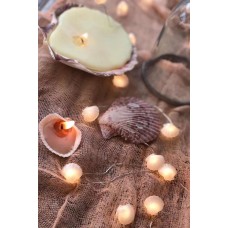 Deniz Tarağı Led Işık Zinciri